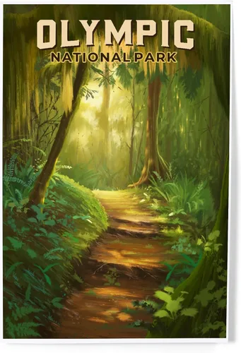 Vista 12 de Lantern Press Parque Nacional Olímpico, Washington, Grand Valley, alce, 8 x 12 pulgadas - Impresión artística para decoración de pared