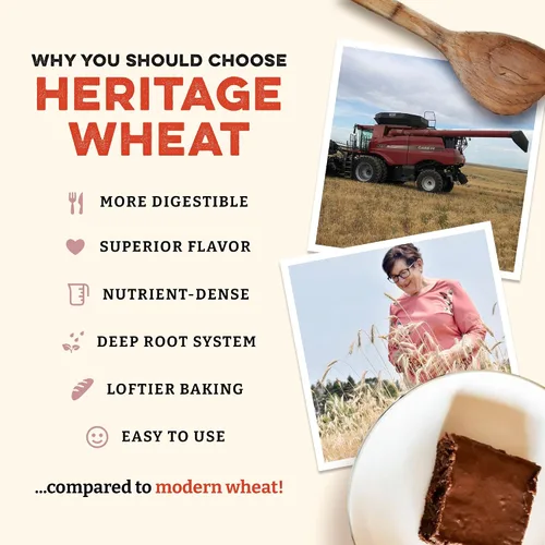 Vista 3 de Sunrise Flour Mill USDA Organic Heritage - Harina de repostería de trigo integral – 2 libras Ideal para personas sensibles al gluten Más fácil