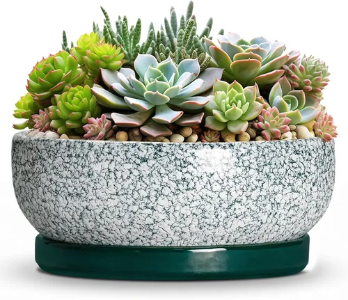 Vista 9 de Succulent Pots, 6 Inch Ceramic Bonsai Pots with Saucer, Blue
