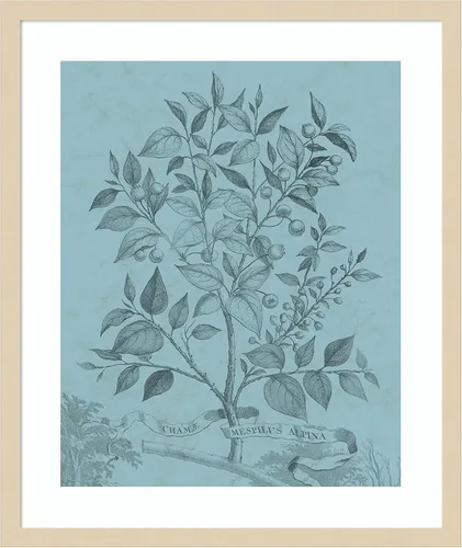 Vista 13 de Amanti Art Vision Studio - Póster enmarcado de 24 x 20 pulgadas, diseño botánico en V verde azulado por Vision Studio, arte de pared de naturaleza