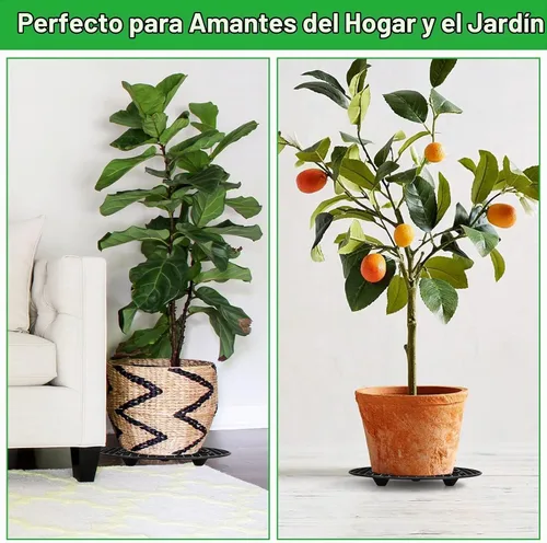 Vista 6 de 12 elevadores de plantas de 12 pulgadas para macetas de interior, soportes de plantas resistentes, elevador de macetas a nivel de planta