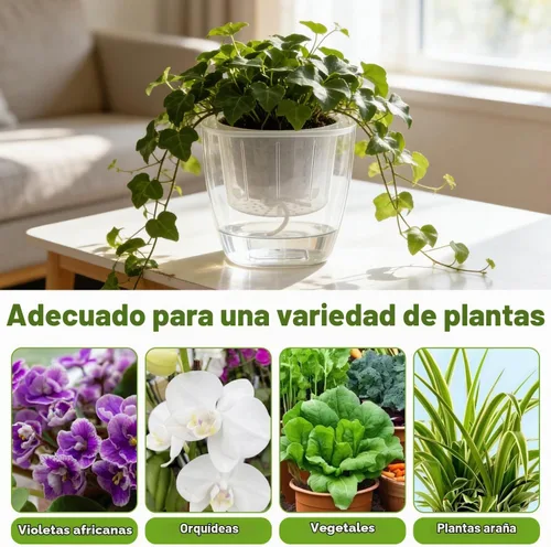Vista 2 de Paquete de 3 macetas transparentes de riego automático de 7 pulgadas para plantas de interior, macetas grandes de violeta africana, macetas