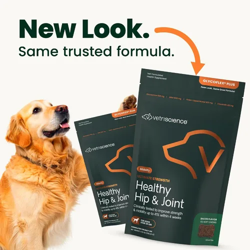 Vista 2 de VetriScience Suplemento Ultimate Strength para cadera y articulaciones para perros, GlycoFlex Plus – MSM, condroitina y mejillón de labios verdes