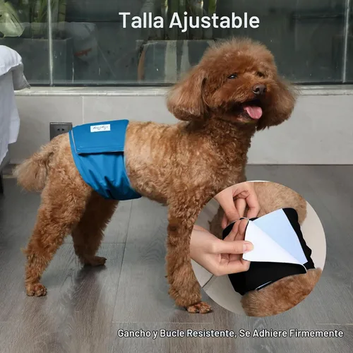 Vista 8 de JoyDaog - Pañales reutilizables para cachorros varones, paquete de 5, lavables, bandas reutilizables para el vientre, para perros
