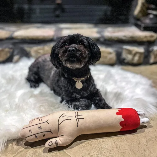 Vista 5 de Juguete de brazo zombi para perro divertido de peluche con chirriador masticable para cachorros