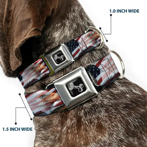 Vista 2 de Bandera de Estados Unidos diseño de estrellas y rayas Eagle Diversión Animal Cinturón de Seguridad Pet Collar, Multicolor