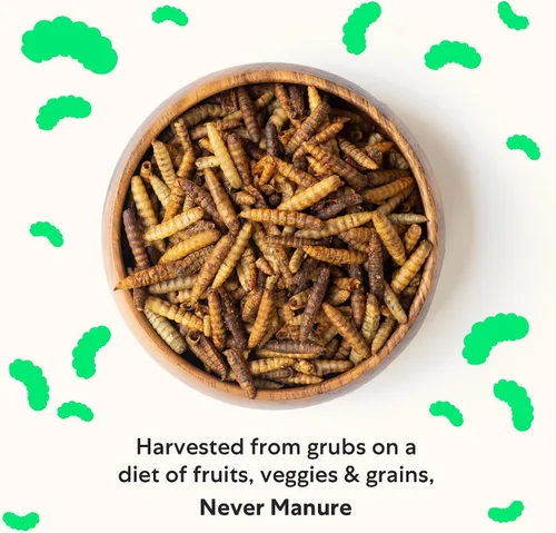 Vista 4 de Grubbly Farms Grubblies - Larvas de mosca soldado negro para pollos - Golosinas de pollo cultivadas en los Estados Unidos y Canadá - para cáscaras