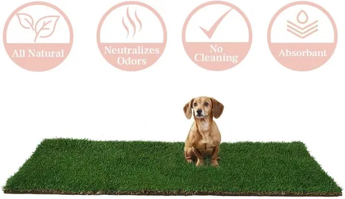 Vista 2 de DoggieLawn Orinal para perros - Hierba real - XL 24 x 48 pulgadas