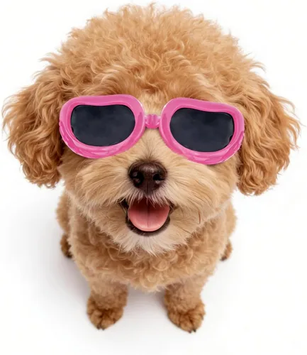 Vista 12 de Antiparras anteojos de sol para gatos o perros pequeños, Negro Negro clásico