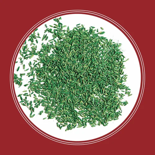 Vista 13 de Pennington Smart Seed Raigrás perenne 3 libras