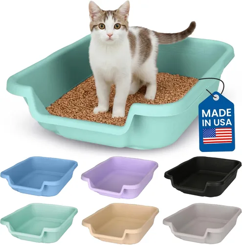 Vista 23 de KittyGoHere - Caja de arena para gatos mayores, sartén pequeña con cuchara jumbo de mango largo, caja de arena para gatos de entrada baja, ligera