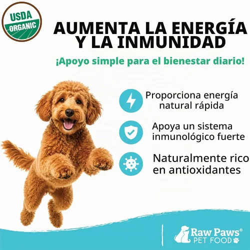 Vista 3 de Raw Paws Aceite de coco orgánico virgen para perros y gatos, 4 onzas, tratamiento para picazón en la piel, nariz seca, patas, codos, loción