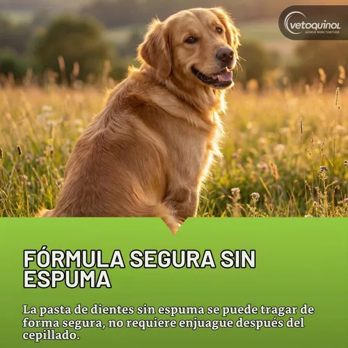 Vista 4 de Vetoquinol Enzadent - Pasta de dientes enzimática para gatos y perros, 3.2 onzas, sabor a aves de corral, fórmula triple enzimática para dientes