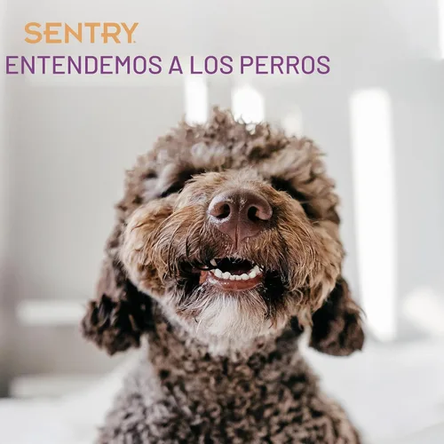 Vista 3 de Sentry Calming Chews for Dogs