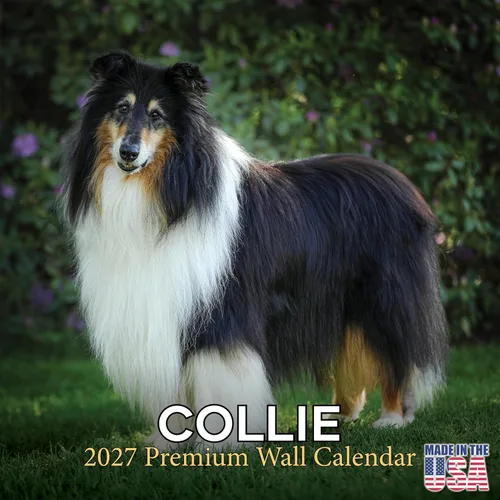 Vista 225 de Calendario de Lebrel Afgano 2025 2026, calendario mensual de pared de raza canina, 12" x 18" abierto, papel grueso sin traspaso, ideal para regalo