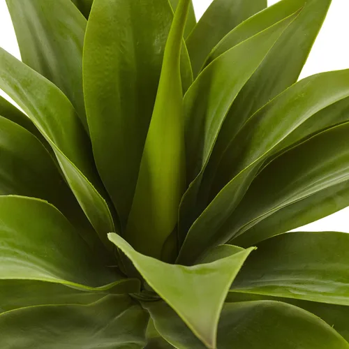 Vista 4 de Nearly Natural Planta de agave con tallo de 32 pulgadas