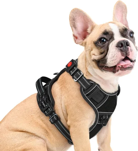Vista 17 de Eagloo Arnés para perro de tamaño pequeño, fácil de llevar con 3 hebillas, arnés ajustable sin tirones para mascotas con sistema MOLLE, chaleco
