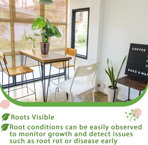 Vista 7 de Macetas de orquídea de vidrio con agujeros y bandeja de bambú con control de nivel de agua Maceta de vidrio transparente semi hidropónica con raíces