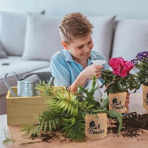 Vista 4 de Meekear Kit de iniciación para interiores 4 con kit de jardinería completo y caja de madera, para cultivar margarita Shasta, aciano, girasol, zinnia