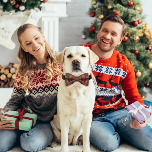 Vista 6 de Silkfly 60 piezas de collar de perro a cuadros de Navidad, corbatín a granel, accesorios de vacaciones, lazos para cachorros, collares desmontables