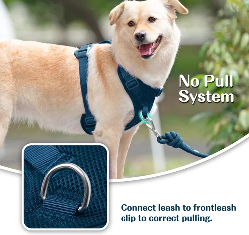 Vista 3 de Arnés sin tirones para perros pequeños, medianos y grandes, chaleco de malla ajustable de 2 capas con doble clip, a prueba de escapes, liberación