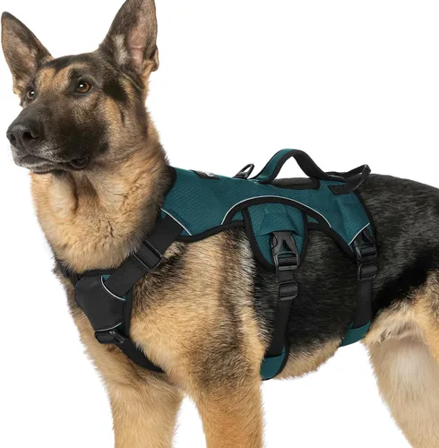 Vista 43 de rabbitgoo - Arnés para perros a prueba de fugas, arnés para mascotas acolchado y suave de cuerpo completo, arnés reflectante ajustable sin tirones