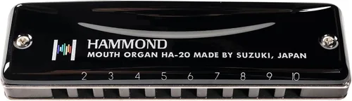 Vista 7 de Otra armónica, negra (HAMMOND HA-20 G)