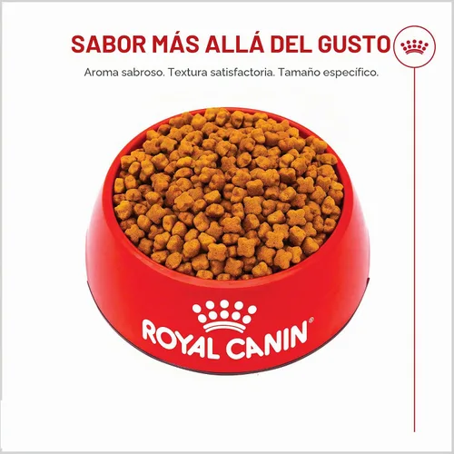 Vista 2 de Royal Canin Breed Health Nutrition - Alimento seco para perros pastor alemán, 2.5 libras