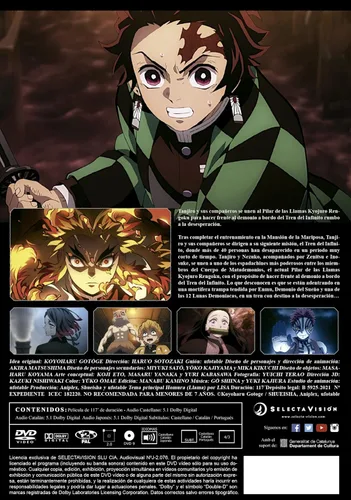 Vista 2 de Guardianes de la Noche - Kimetsu no Yaiba (Non USA format)