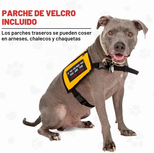 Vista 4 de Xunyee 30 parches de perro de servicio extraíbles Please Don't Pet Me in Training No Touch con cierres de gancho y bucle, parche táctico bordado
