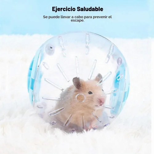 Vista 4 de Flash - Bola de cristal de hámster enano para hámsters de menos de 4 pulgadas, juguete de ejercicio de actividad para correr, transparente