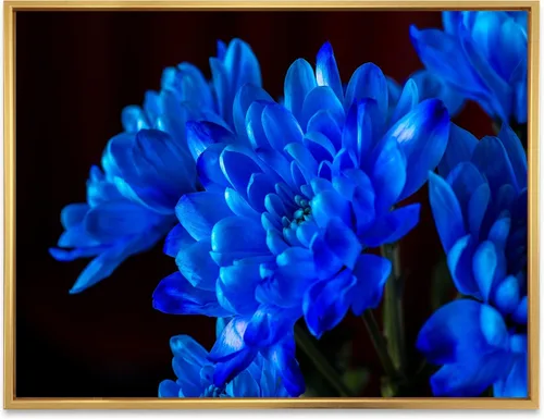 Vista 20 de DesignQ Lienzo enmarcado tradicional con flores silvestres azules con hojas verdes II