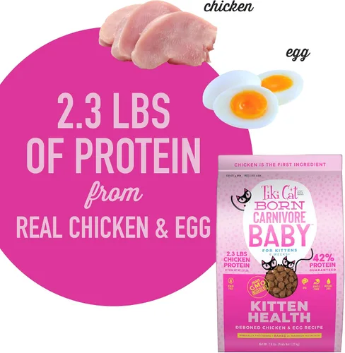 Vista 6 de Tiki Cat Born Carnivore Baby Kitten Health Alimento seco para gatos, pollo y huevo deshuesados, bolsa de 2.8 libras