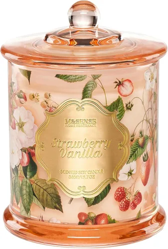 Vista 18 de M&SENSE Velas de Cítricos para el Hogar Aromáticas, Vela de Soja Orgánica Natural de 12.7oz 75 Horas de Larga Duración de Combustión Lenta, Vela