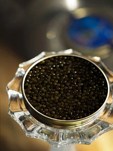 Vista 2 de Kaluga Hybrid Sturgeon Caviar 100g (3.5 oz)