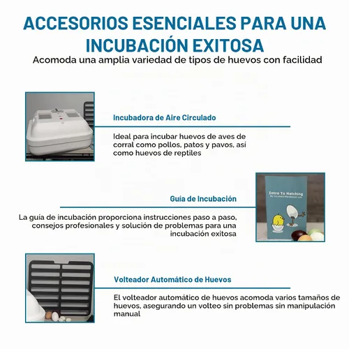 Vista 6 de HovaBator 2370 Kit de incubadora de inicio, incubadora de aire circulado, girador de huevos