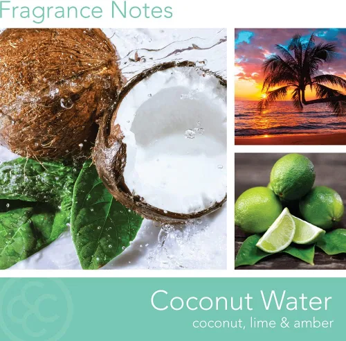 Vista 2 de Colonial Candle - Vela perfumada de frasco con aroma a agua de coco, colección clásica de cilindros, 2 mechas, azul, 19 onzas - hasta 120 horas