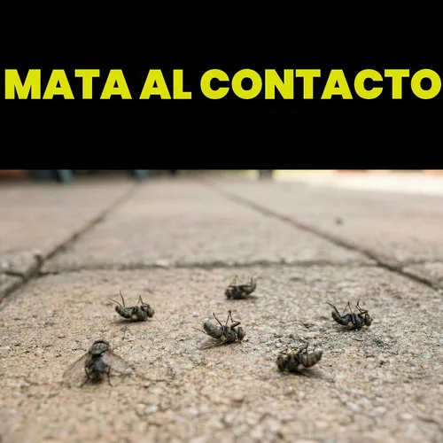 Vista 3 de Raid Multi insecto asesino insectos, brisa de naranja, 15 onzas