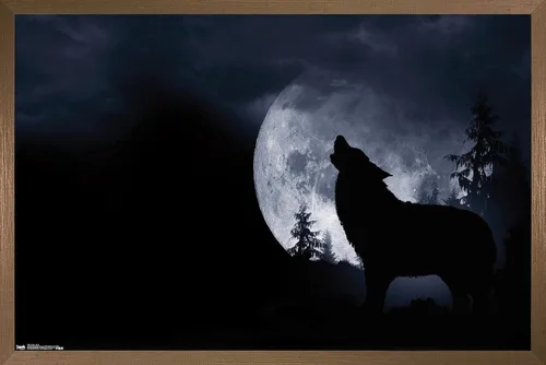 Vista 17 de Trends International Póster de pared de lobo - aullido, 14.725 x 22.375 pulgadas, versión enmarcada de madera de granero