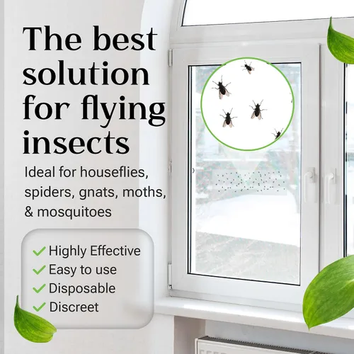 Vista 6 de Trampa para moscas en interiores o exteriores Las trampas para moscas de ventana son transparentes y transparentes También para polillas