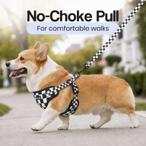 Vista 8 de Jack & Bully Arnés para perro, chaleco sin tirones, de neopreno ajustable, suave con malla transpirable, para todo tipo de clima, bulldog francés