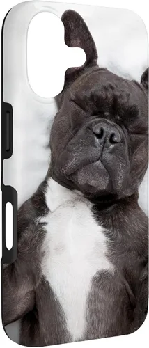Vista 3 de Carcasa gráfica de Bulldog Francés para iPhone 17