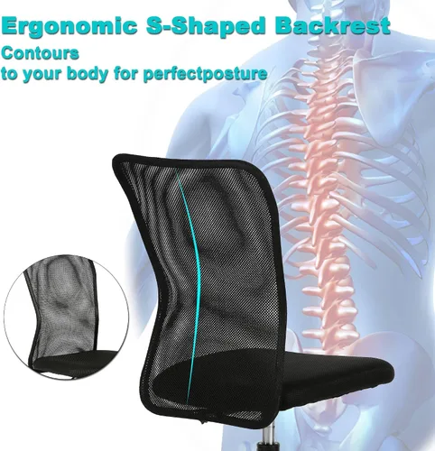 Vista 4 de Silla de oficina sin brazos, silla de oficina ergonómica de malla con respaldo alto con soporte lumbar, sillas de computadora, silla con ruedas