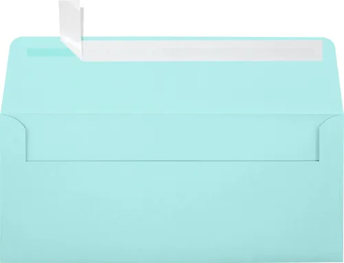 Vista 31 de LUXPaper Sobres de negocios #10 Despegar y prensar 4 1/8 pulgadas x 9 1/2 pulgadas Negro medianoche Texto de 80 libras Cantidad de 1,000