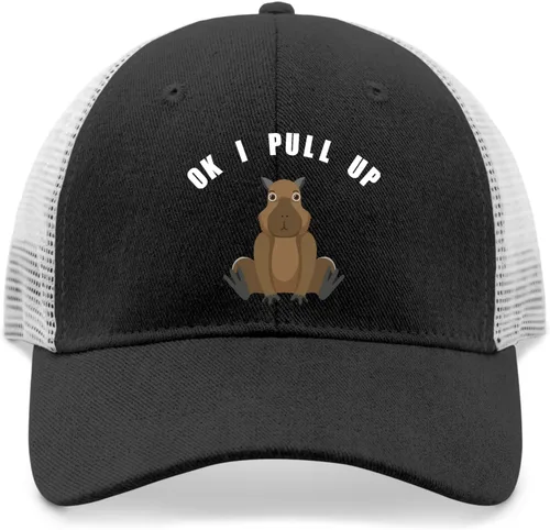 Vista 9 de Dad Hats Ok I Pull Up Baseball Caps for Men Vintage Denim Dad Hats Adjustable