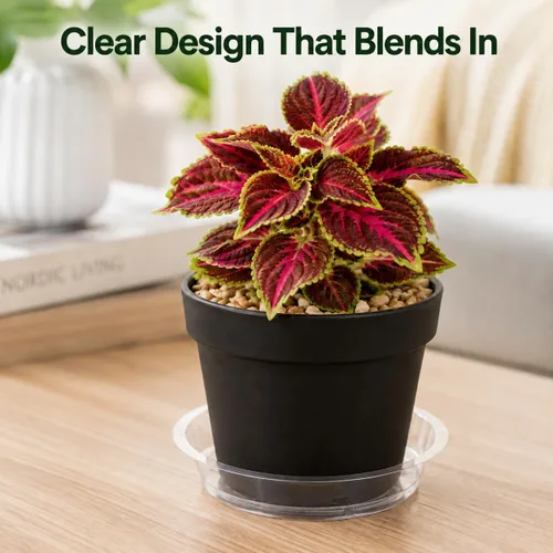 Vista 6 de Gardzen Platos de plástico transparente resistente para plantas, bandeja para macetas, excelente para plantas de interior y exterior