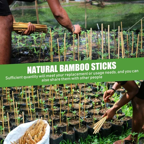 Vista 6 de Suclain Juego de 30 estacas de bambú para plantas trepadoras, estacas de bambú resistentes para tomates, frijoles, flores y plantas en maceta