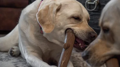 Vista 8 de Hero Bonetics Stick - Juguete masticable para perros con aroma a madera, suave para los dientes y el abdomen