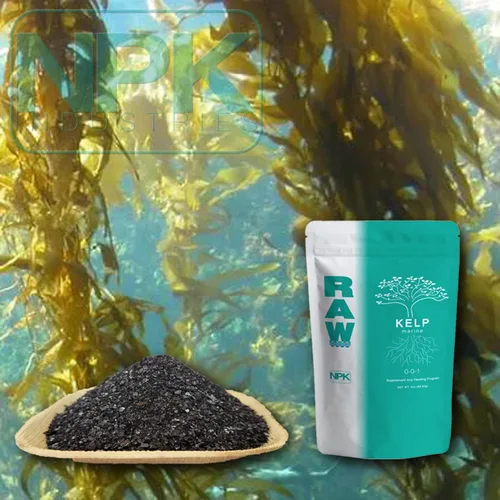 Vista 3 de RAW Kelp Marine - Fertilizante de refuerzo del crecimiento de plantas soluble en agua para el desarrollo de raíces y el crecimiento de plantas, 2