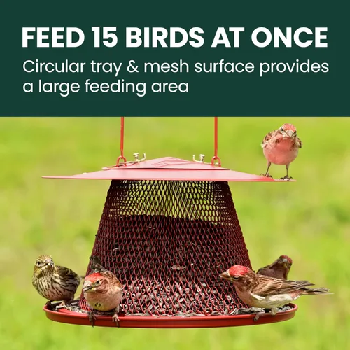 Vista 5 de No/No Red Cardinal c00322 alimentador de aves, Paquete de 1, Rojo Holds Up to 15 Birds Simultaneously, Metal Hanging Feeder for Outdoors, Mesh